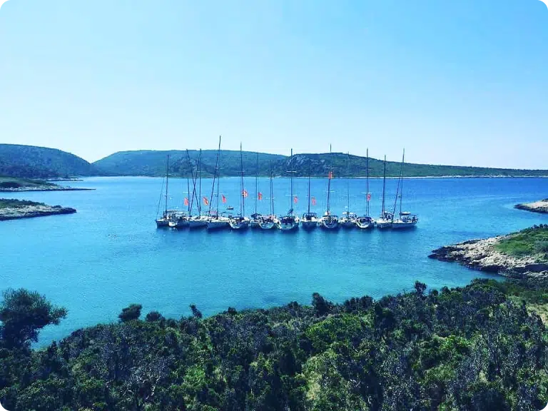 Sailing school